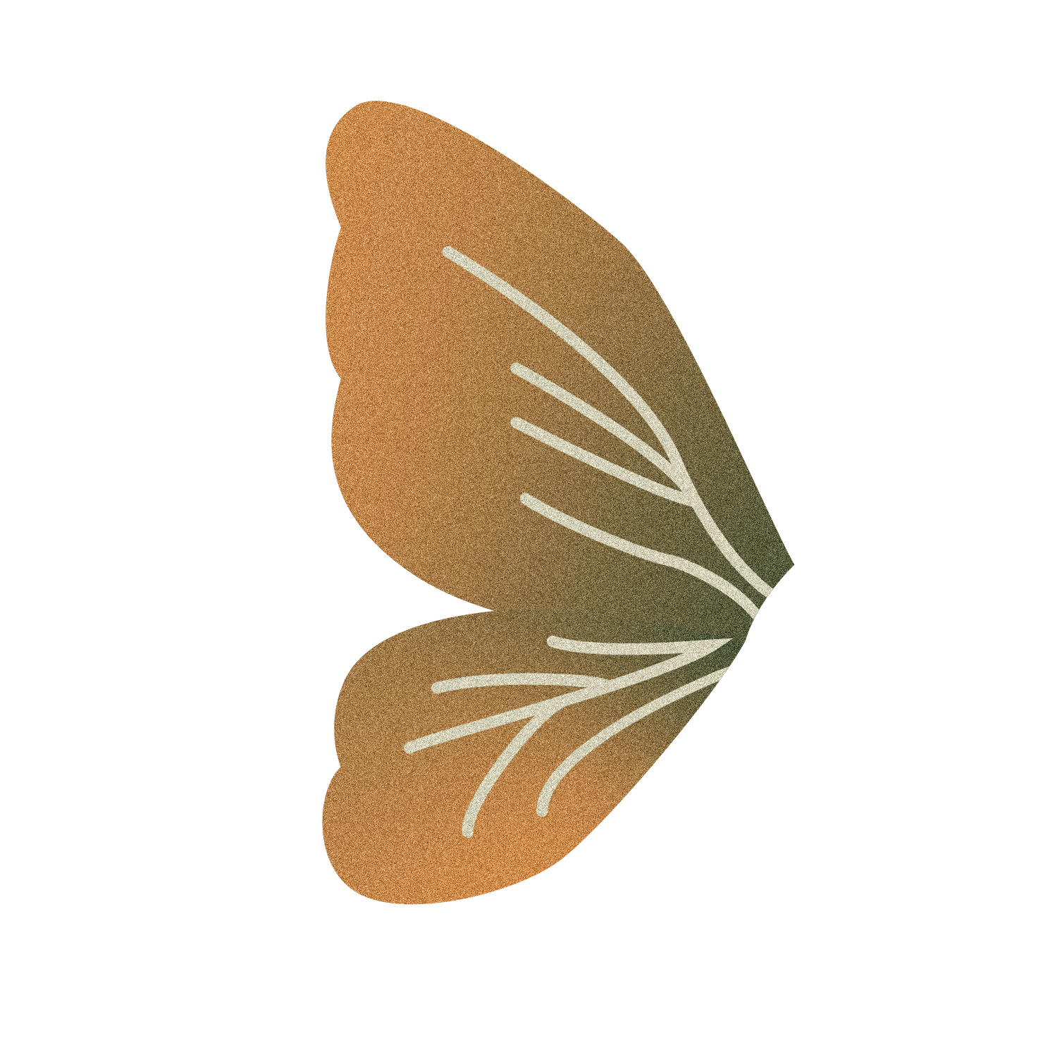 Home Icon of fairy wings